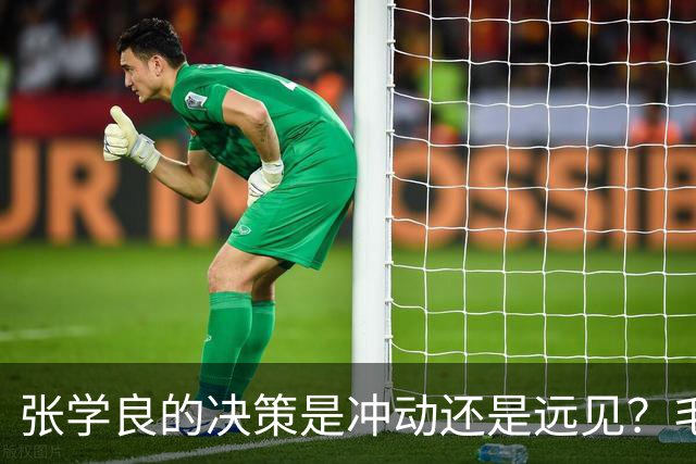 张学良的决策是冲动还是远见？毛泽东一句话揭示真相